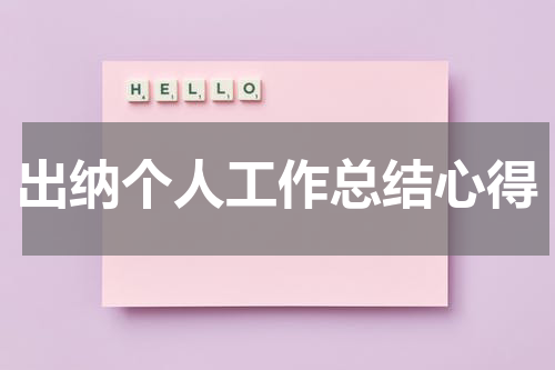 出纳个人工作总结心得