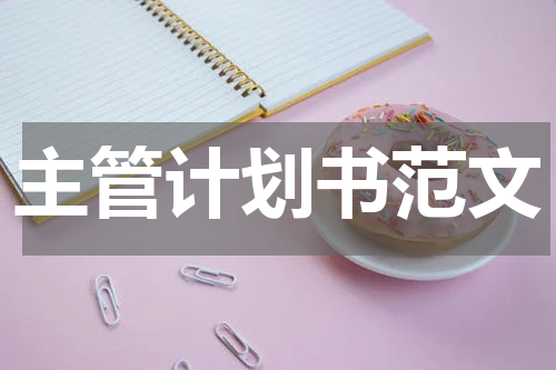 主管计划书范文