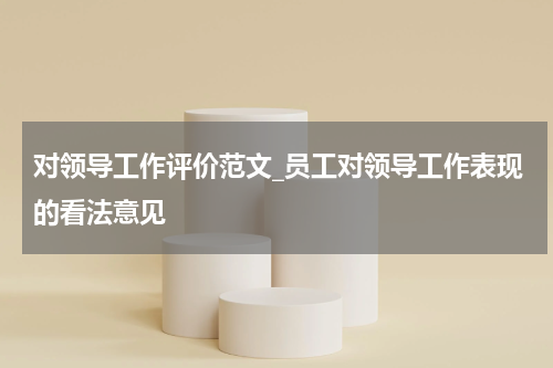 对领导工作评价范文_员工对领导工作表现的看法意见