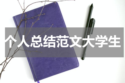 个人总结范文大学生