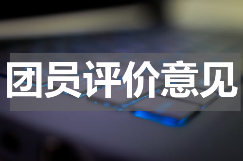团员评价意见