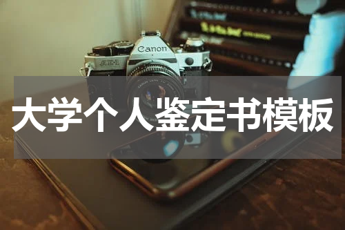 大学个人鉴定书模板