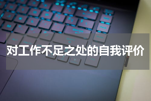 对工作不足之处的自我评价