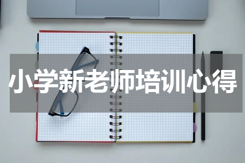 小学新老师培训心得