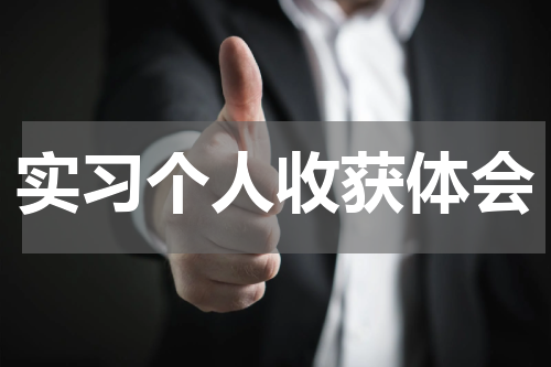 实习个人收获体会