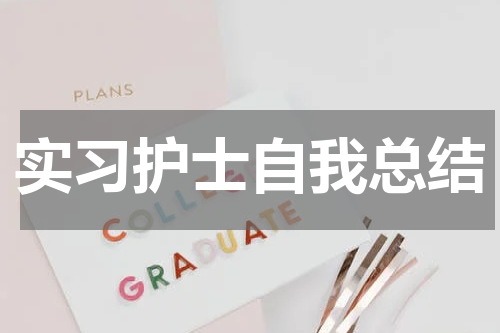 实习护士自我总结