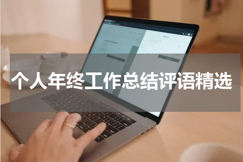 个人年终工作总结评语精选