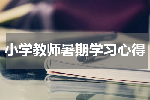 小学教师暑期学习心得
