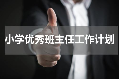 小学优秀班主任工作计划