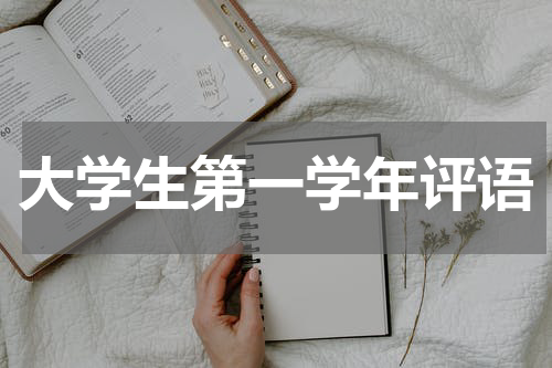 大学生第一学年评语