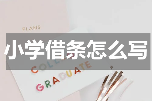 小学借条怎么写