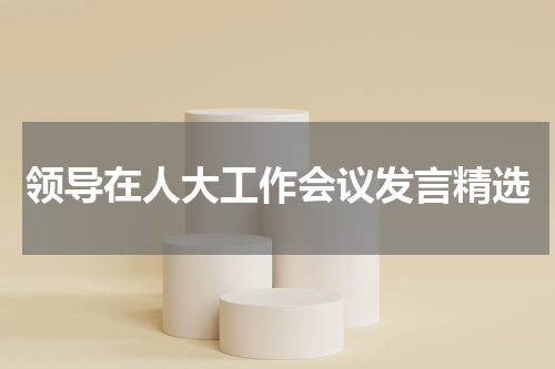 领导在人大工作会议发言精选