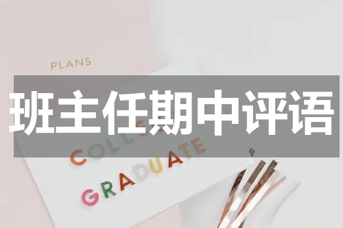 班主任期中评语