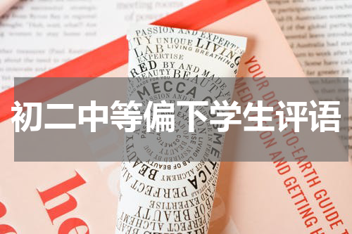 初二中等偏下学生评语