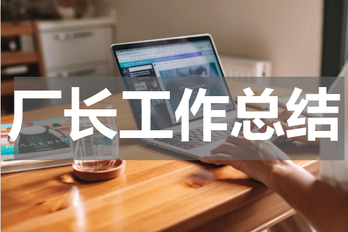 厂长工作总结