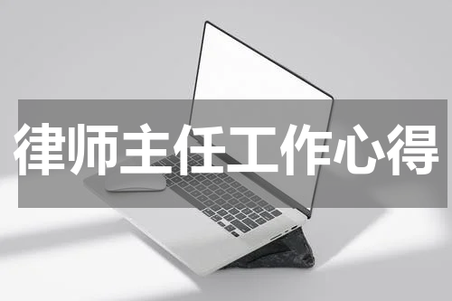 律师主任工作心得