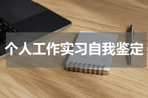 个人工作实习自我鉴定