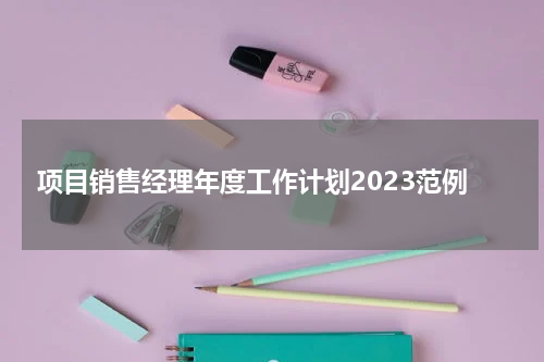 项目销售经理年度工作计划2023范例