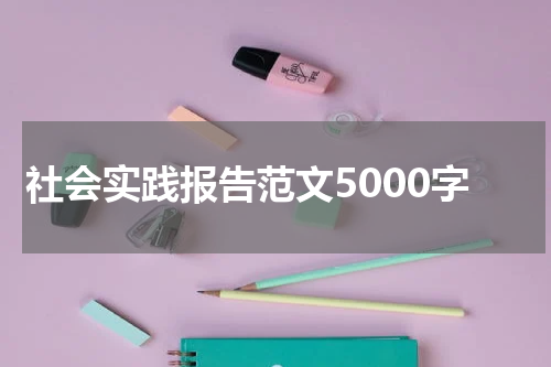 社会实践报告范文5000字