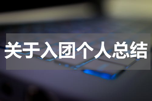 关于入团个人总结