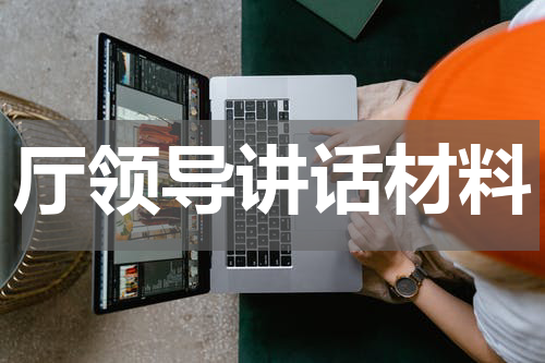 厅领导讲话材料
