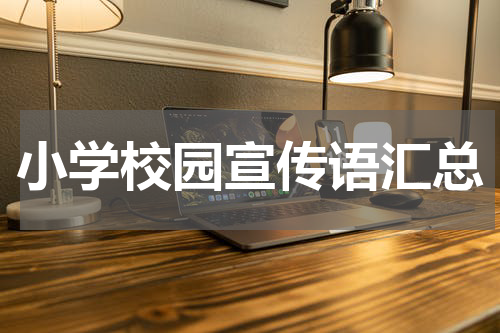 小学校园宣传语汇总