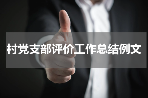 村党支部评价工作总结例文