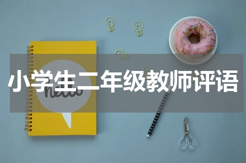 小学生二年级教师评语
