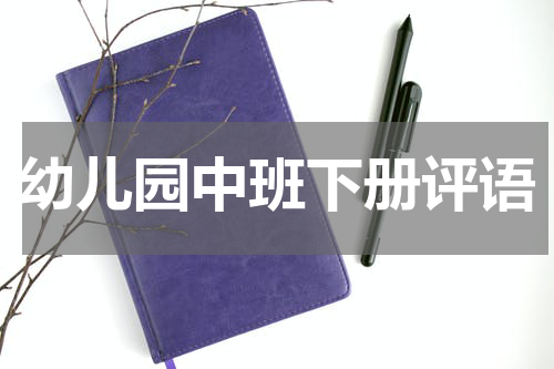 幼儿园中班下册评语