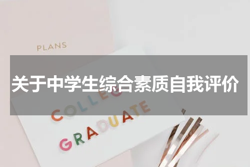 关于中学生综合素质自我评价