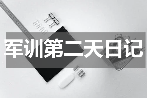 军训第二天日记