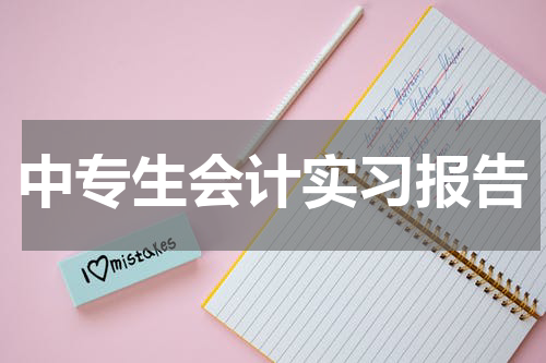 中专生会计实习报告