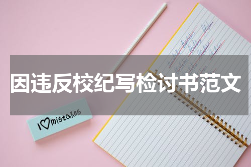 因违反校纪写检讨书范文