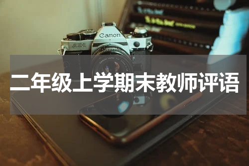 二年级上学期末教师评语