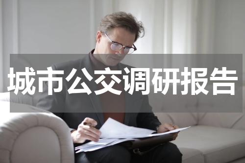 城市公交调研报告