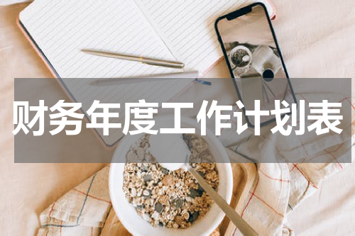 财务年度工作计划表