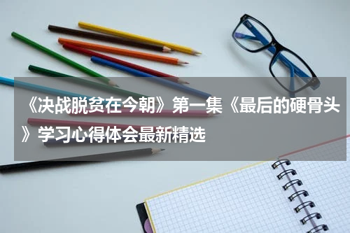 《决战脱贫在今朝》第一集《最后的硬骨头》学习心得体会最新精选
