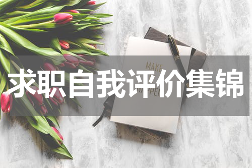求职自我评价集锦