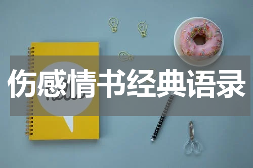 伤感情书经典语录