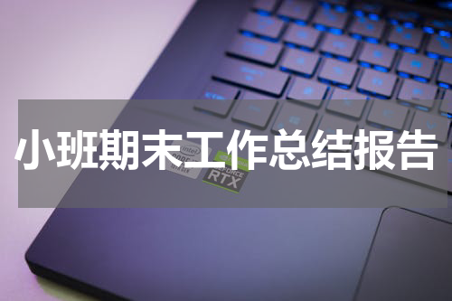 小班期末工作总结报告