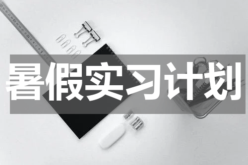 暑假实习计划