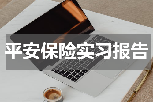 平安保险实习报告