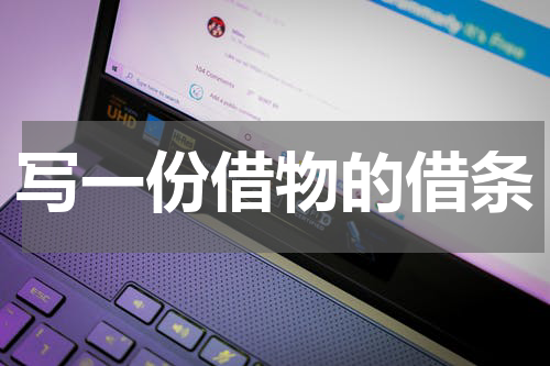 写一份借物的借条