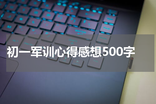 初一军训心得感想500字