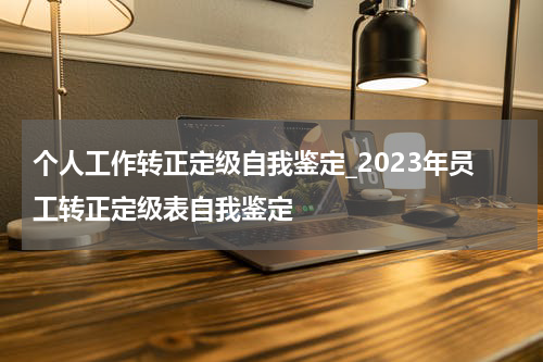 个人工作转正定级自我鉴定_2023年员工转正定级表自我鉴定