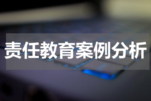 责任教育案例分析