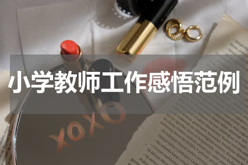 小学教师工作感悟范例
