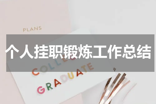 个人挂职锻炼工作总结