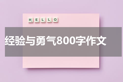 经验与勇气800字作文