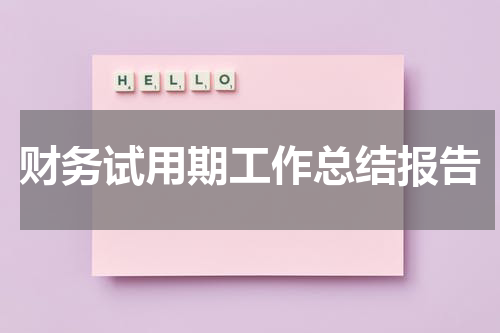 财务试用期工作总结报告